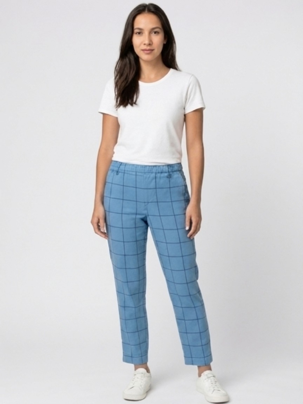 Sundance Blue Windowpane Linen Ankle Pants Misses 8P